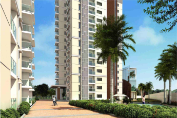 Prestige Ivy League promises to be the perfect home for you with all of little conveniences